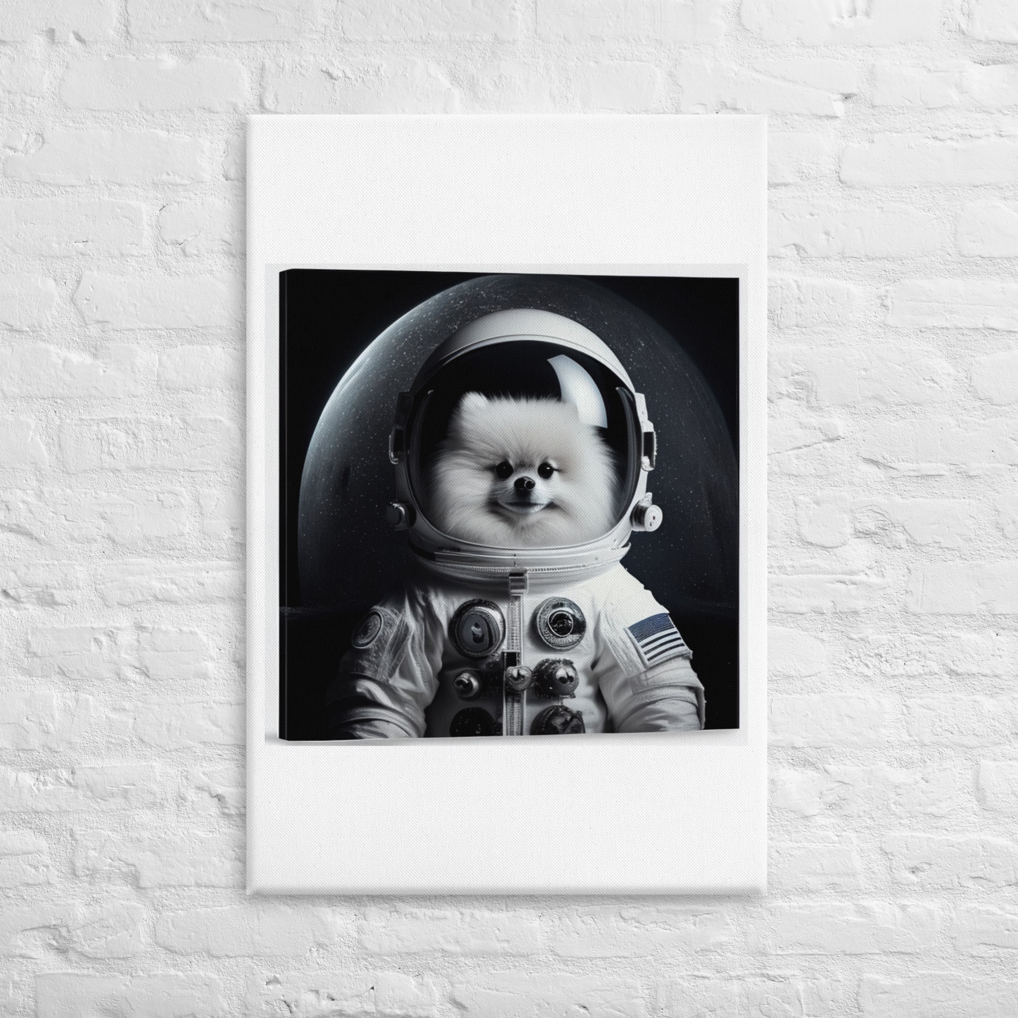 CANVAS PRINT 1:11 Marshmello ( @cryptopop, the first dog character to return to the moon since 1969) Bonus 1:11 NFT  ( Mint Date April 8th, 2023)