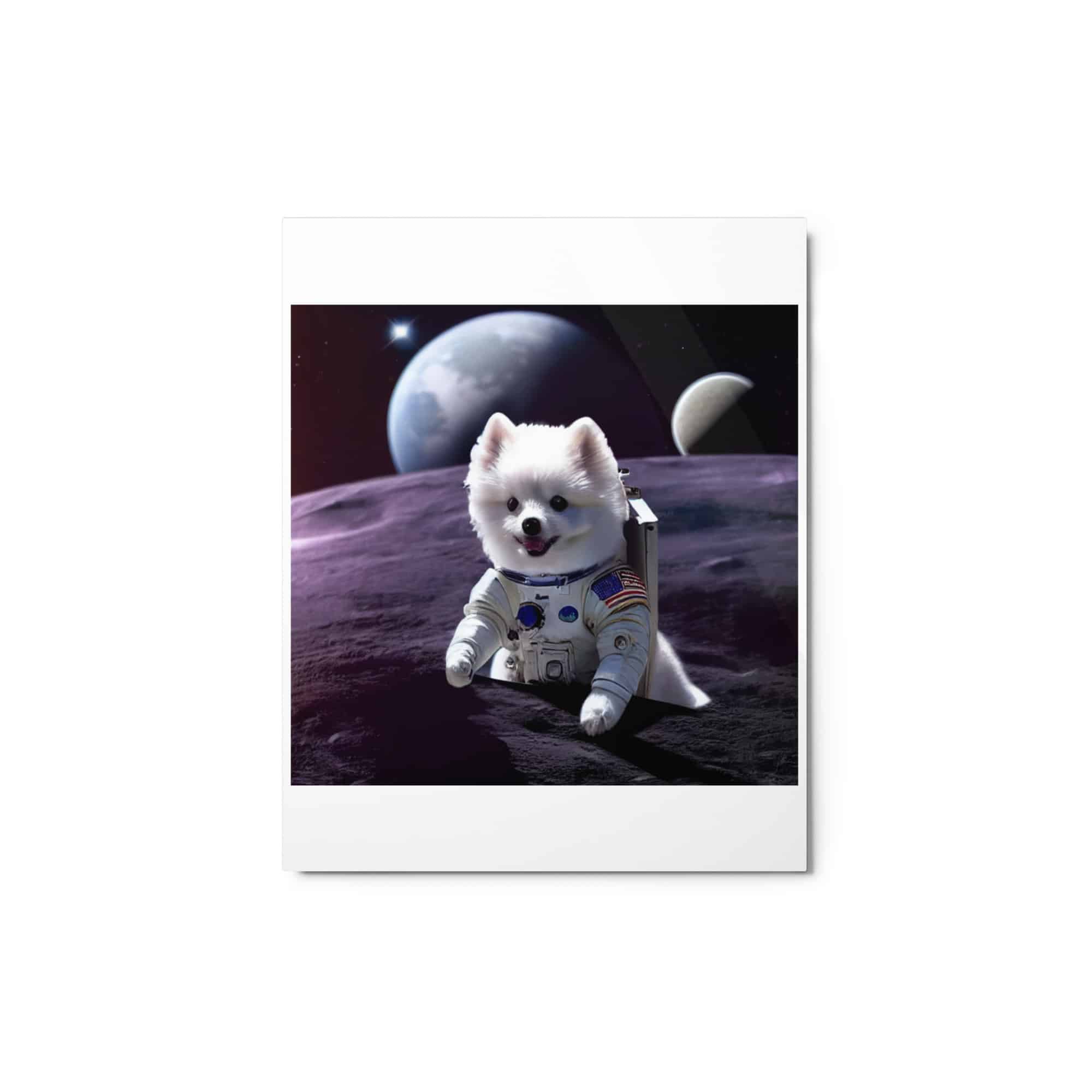 METAL PRINT 1:11 Marshmello ( @cryptopup, First Dog Character To Return To The Moon Since 1969) Bonus 1:11 NFT ( Mint Date April 8th, 2023)
